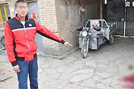 女子被亲侄用铁锤狂敲二十下，脑浆都出来了，引发血仇的竟是只羊图片