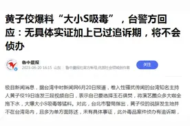 再见！大S，小S！台湾姐妹花夫妇被打回原形图片