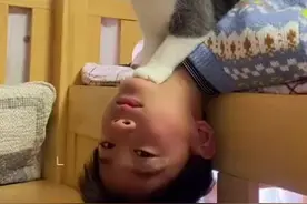 （视频）@太原人！猫咪和小主人打架儿子喊妈妈帮忙，该帮谁？图片