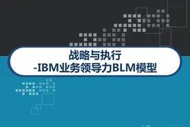 战略与执行：IBM业务领导力BLM模型，63张图详细解读图片