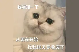 抖音表情包：从现在开始，找我聊天要收费了图片