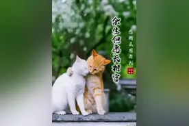 无论你在哪个年龄段，都不要对孩子说，我不指望你图片