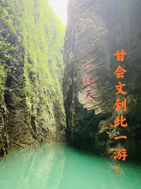 周末向山林