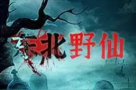 东北野仙录88图片