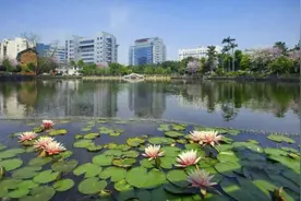 「走进绿色钢城」柳钢集团：书写绿色发展新答卷图片