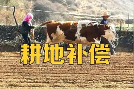 作为农民，如果不知道1亩地等于多少平米？看看我是怎么计算的图片