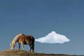 30幅有趣的街头抓拍照片，生活中难得的幽默瞬间图片