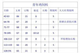 买的青年鸡，营养上注意点啥图片