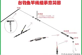 我来告诉你鱼钩和钓鱼线组怎么绑，学不会别想爆护！图片
