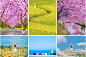 彻底解决，面对镜头就尬感的你有救了，来试试这4个摄影技巧吧图片