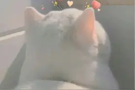 上课就是喝茅台、吃小龙虾、打坐，毕业即就业还高薪？图片