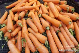 疫情反复，这5类蔬菜记得多囤，营养全面好存储，家有余粮心不慌图片