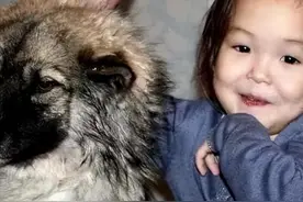 14年，3岁女娃和狗一起失踪，狗狗守护11天后，叼着发圈回来报警图片