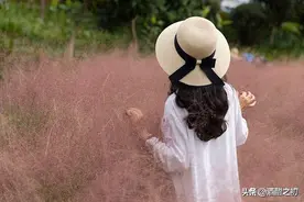 乡村故事：择婿图片