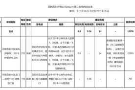 洛阳一批项目审批通过图片