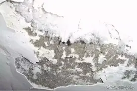 墙面返碱不要慌！解决方法、预防措施，这篇都给你总结好了图片