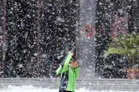 杨树到底是何方神圣？杨絮满天飞引众怒，怎么就不舍得砍？图片