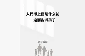 人民币上的花 是什么花一定要告诉孩子图片