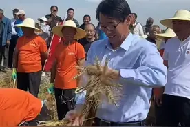 “割麦书记”为啥火了？从网友零差评能看出啥？图片