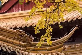 散文：人到中年，应该懂得，命里有时终须有，命里无时莫强求图片