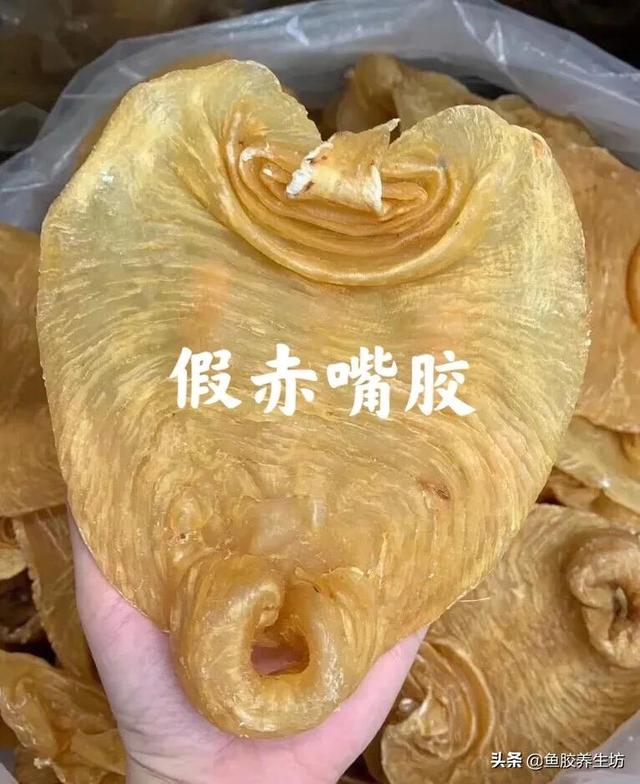 赤嘴鳘鱼胶真假 2026年赤嘴鱼胶的口感 赤嘴鳘鱼胶真假 2026年赤嘴鱼胶的口感