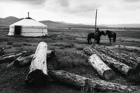 1964年，三名解放军战士在野狼谷被狼群包围图片