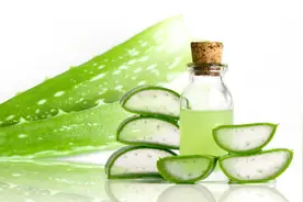 壹健康小知识：芦荟可以直接擦脸吗？芦荟擦脸上可以过夜吗图片