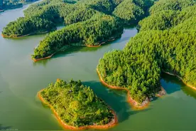 一课一题一语法：新概念英语第1册第115-116课图片