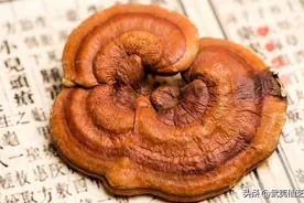 震撼！灵芝能快速改善这11种常见疾病！图片