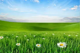 父母替孩子还房贷，这几招解决后顾之忧图片