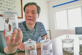 5公斤餐厨垃圾养活1公斤蟑螂，山东大叔投资千万人工养殖，能干啥图片