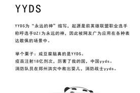 梗百科——YYDS图片
