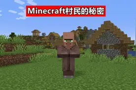 “爸爸，我是怎么来的？”聊聊《我的世界》村民背后的13个秘密图片
