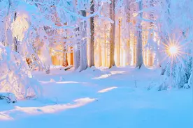 我国6大“冷”城，气温一个比一个低，有的能达-51℃图片