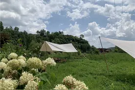 嗨在贵州·露营 | 逃离酷暑，到乌当偏坡露营撒野图片