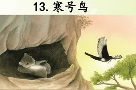 我们上小学时学过《寒号鸟》，可真实的寒号鸟却是这样子的图片