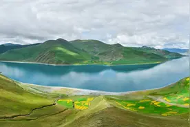 12种常见病的特效「胶布疗法」图片