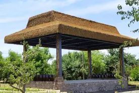 辽宁超自然仿真茅草厂家，快进来参观仿真茅草原野仿古风格茅草屋图片