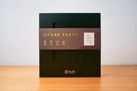 工作娱乐两不误，成年人的趁手好工具，汉王N10电纸书上手评测图片