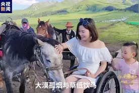 为了更美好的生活丨用轮椅丈量青春和梦想 一个普通女孩不普通的十年图片