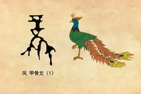 传说中的神鸟凤凰，是一种真实存在的鸟类，现在还生存在非洲地区图片