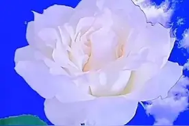 爱你好累，想你好苦，忘记你好难，写给我最深爱的人，我好爱你图片