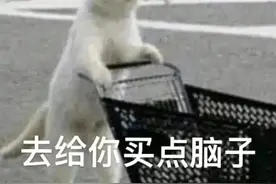 可爱猫咪表情包：去给你买点脑子图片