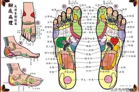 脚为人之根，掌握脚上的“生命密码，”调理全身各种疾病图片