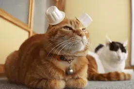 曾仕强育儿观：教小孩最好的方法就是夫妻聊天图片