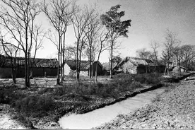 因为兄弟的翻脸不认亲兄妹之情，我彻底与做高官的哥哥断绝了联系图片