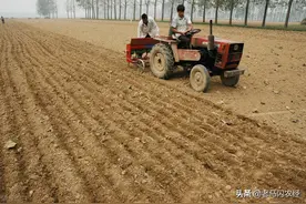 2022年小麦补贴是多少？图片