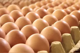 喝蛋白质粉与吃鸡蛋都能补充蛋白质，那么蛋白质粉的意义何在？图片