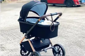 婴儿车排行榜十强，宝宝婴儿车到底哪款好？图片