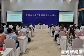 助推文化强市建设 宝鸡市举行文化产业发展业务培训会图片